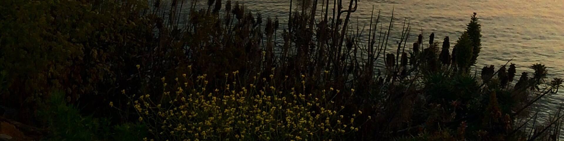 NT property. These are the falls.