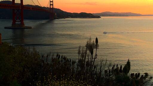 NT property. These are the falls.