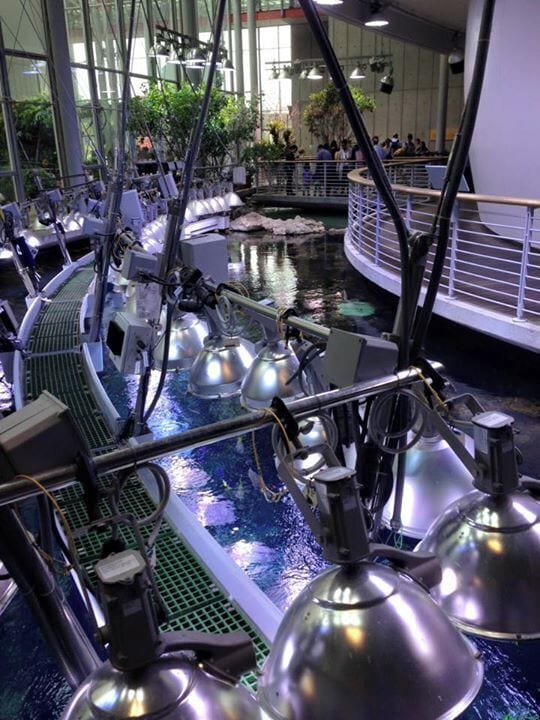 he California Academy of Sciences is a natural history museum in San Francisco, California, that is among the largest museums of natural history in the world, housing over 26 million specimens.[1] The Academy began in 1853 as a learned society and still carries out a large amount of original research, with exhibits and education becoming significant endeavors of the museum during the 20th century.[2]

Completely rebuilt in 2008, the building covers 400,000 square feet (37,000 square metres) and is among the newest natural history museums in the United States.[1]