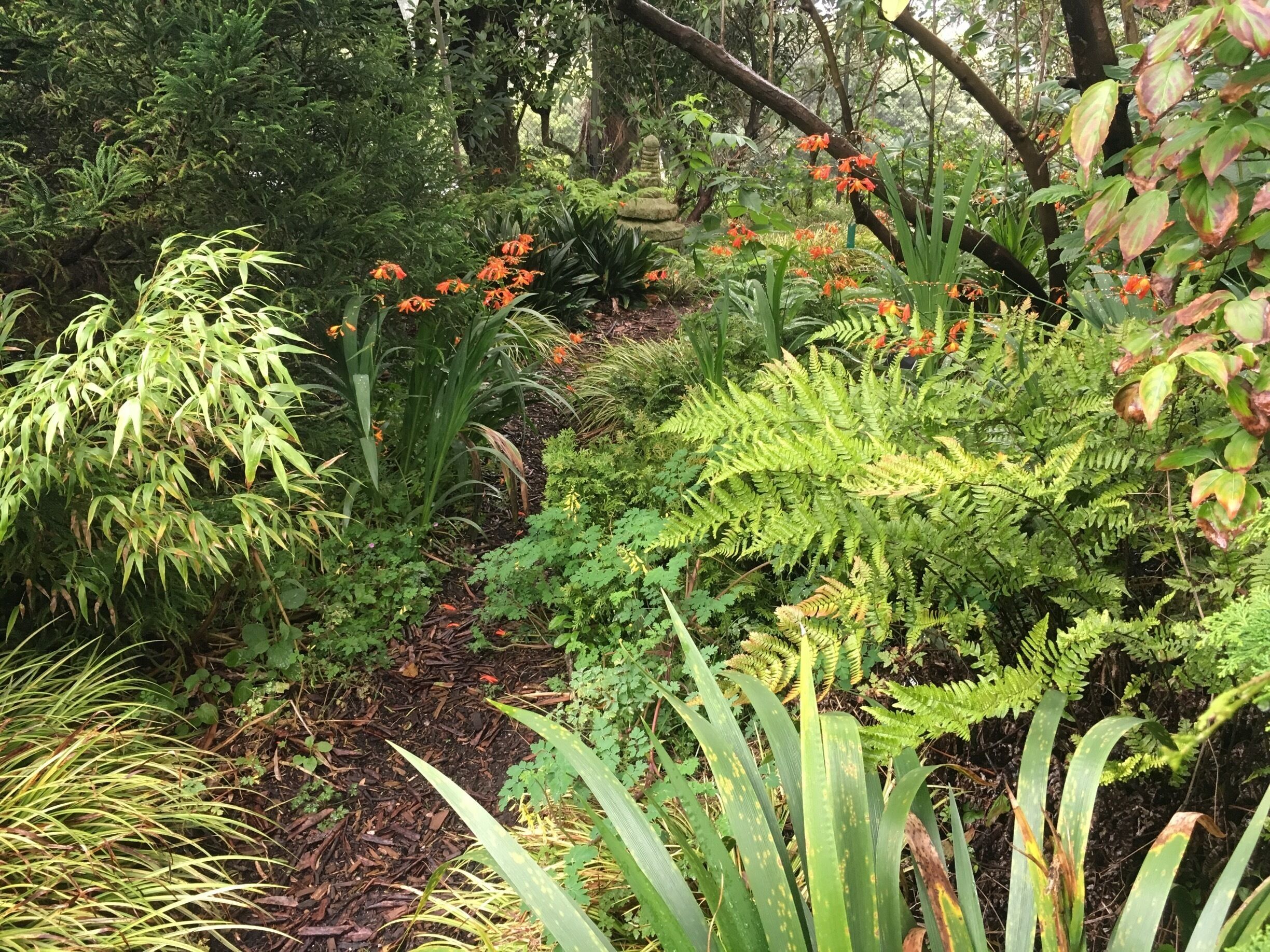 Always a good idea to check out any city’s botanical garden! 
This one is so close where I live, but it’s taken a few years for me to get here. Very well done, SF! Cloud forests, redwoods, CA natives, South African.... many sections to check out :) 
#GreenTravel
#SanFransisco
#BotanicalGardens 
