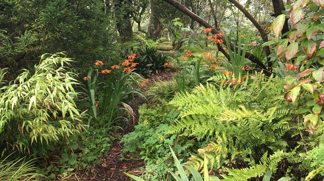 Always a good idea to check out any city’s botanical garden!
This one is so close where I live, but it’s taken a few years for me to get here. Very well done, SF! Cloud forests, redwoods, CA natives, South African.... many sections to check out :)
#GreenTravel
#SanFransisco
#BotanicalGardens