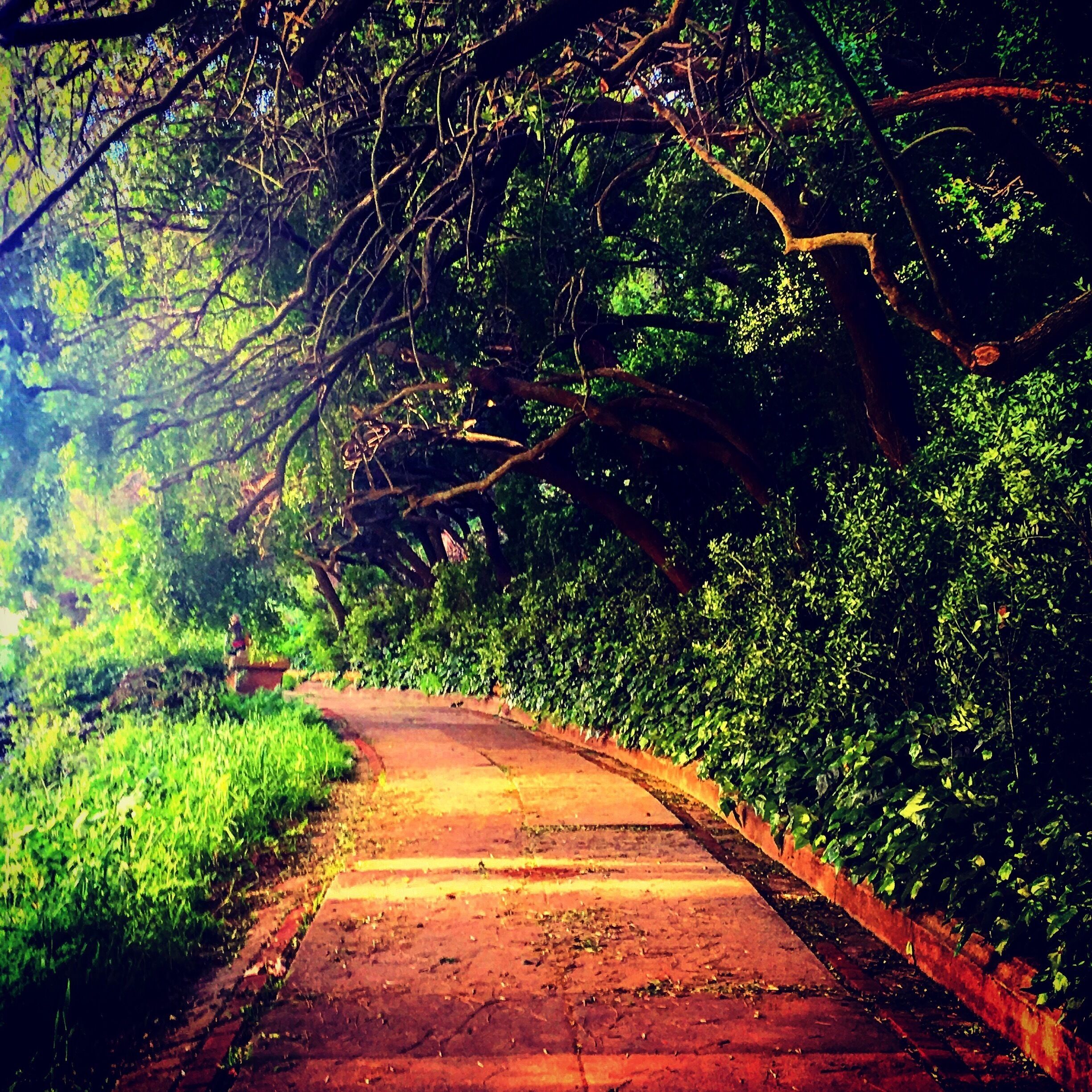 Believe in your path!