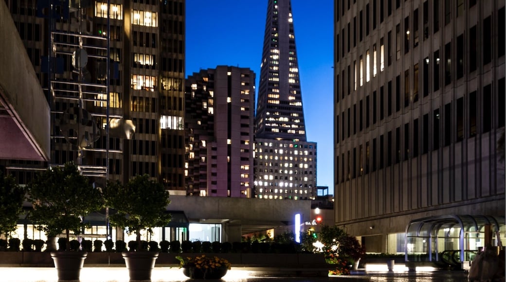 This spot is located on top of 2 Embarcadero Center right next to the Fitness SF. During the day there is a lot of foot traffic so you will likely have people in your shot. The evening is much less crowded and a more ideal time to shoot because of the lights. This shot was on a Friday night, but if you can go Monday - Thursday you will likely get more lights on in the buildings because some people will be working late. You will also notice the unique flooring here. This patter is throughout all the embarcadero centers. It really reminds me of the beach front walking paths of Impanema and Copacobana in Rio de Janero.