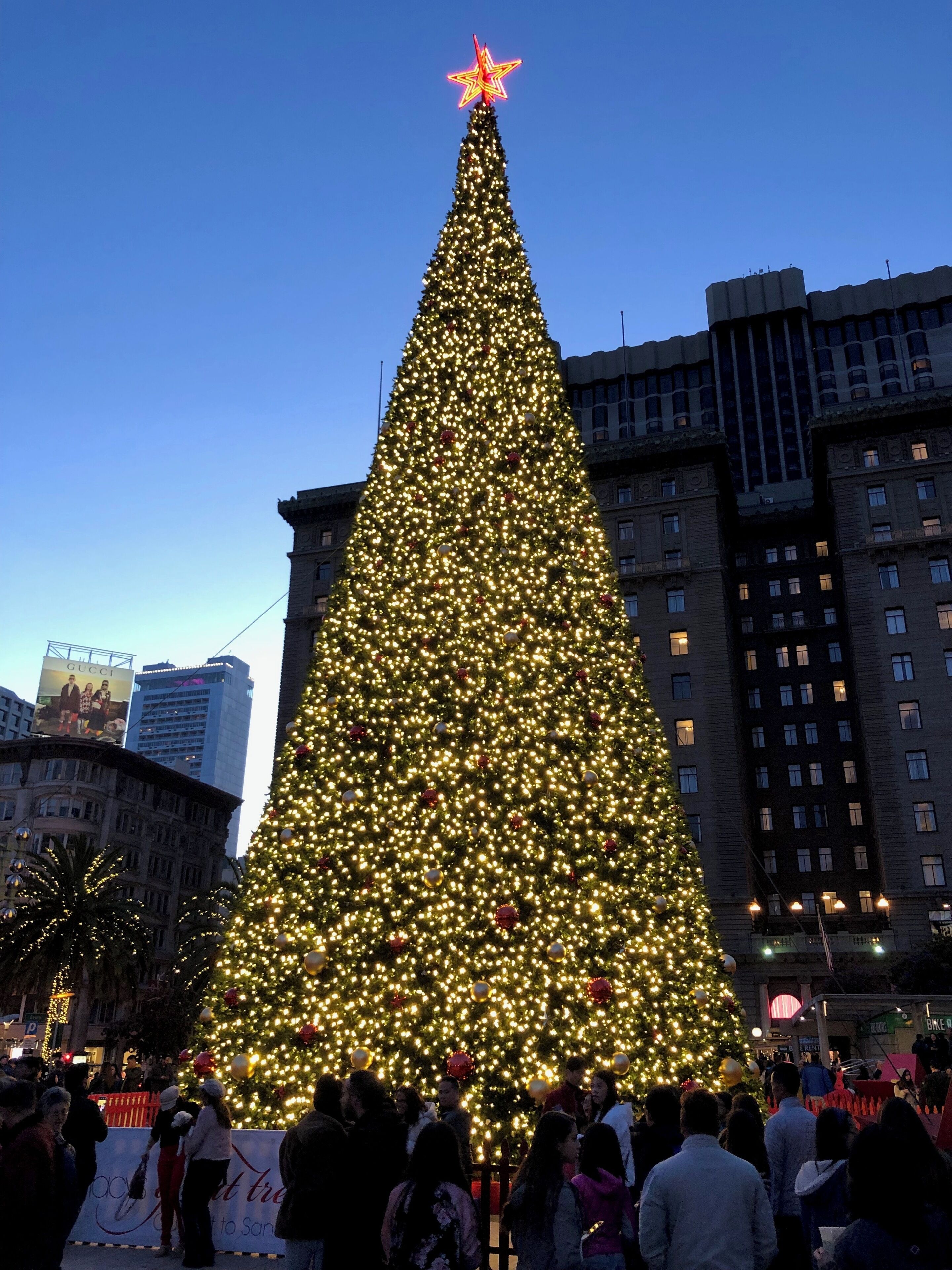 Christmas Tree at Union Square.
#TroveOnTuesday