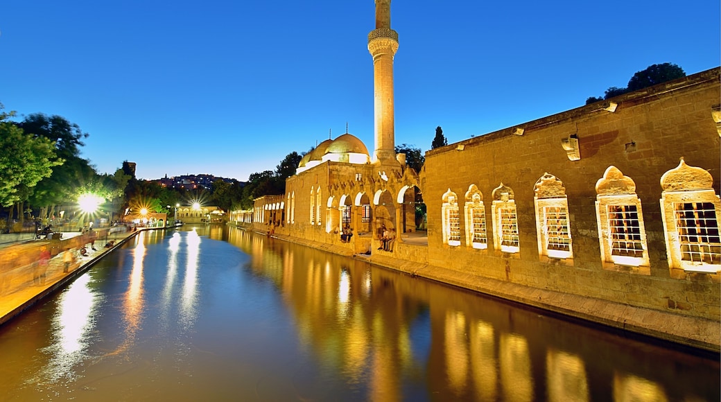 The legendary Pool of Sacred Fish where Abraham was thrown into the fire by Nimrod