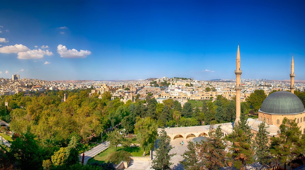 Panoramic view old town city Urfa (Sanliurfa) as view from castle,Urfa,Turkey. The castle walls are left and the Halil Ur-Rahman Mosque is right. Blue sky and clouds. Green trees and old city summer.