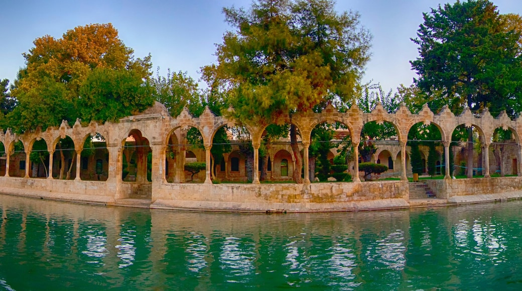 a peaceful panoramic view of balıklıgöl in şanlıurfa with historic arches, calm water reflecting the surrounding trees and mosque under a colorful sunset sky