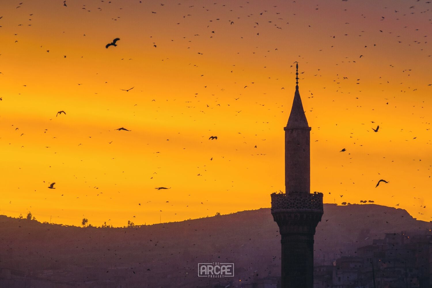 Hundreds of birds fly around Halil Rahman Camii during the Adhan, right before sunset. 