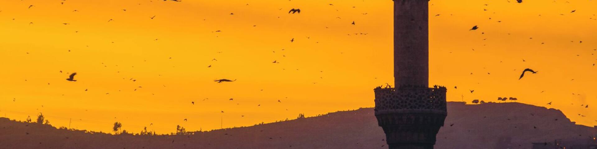 Hundreds of birds fly around Halil Rahman Camii during the Adhan, right before sunset.
