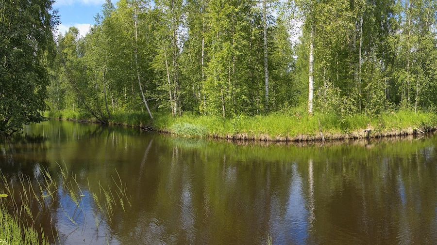 Panoramic view of river Skellefteälven in Skelleftea, Sweden, Europe
