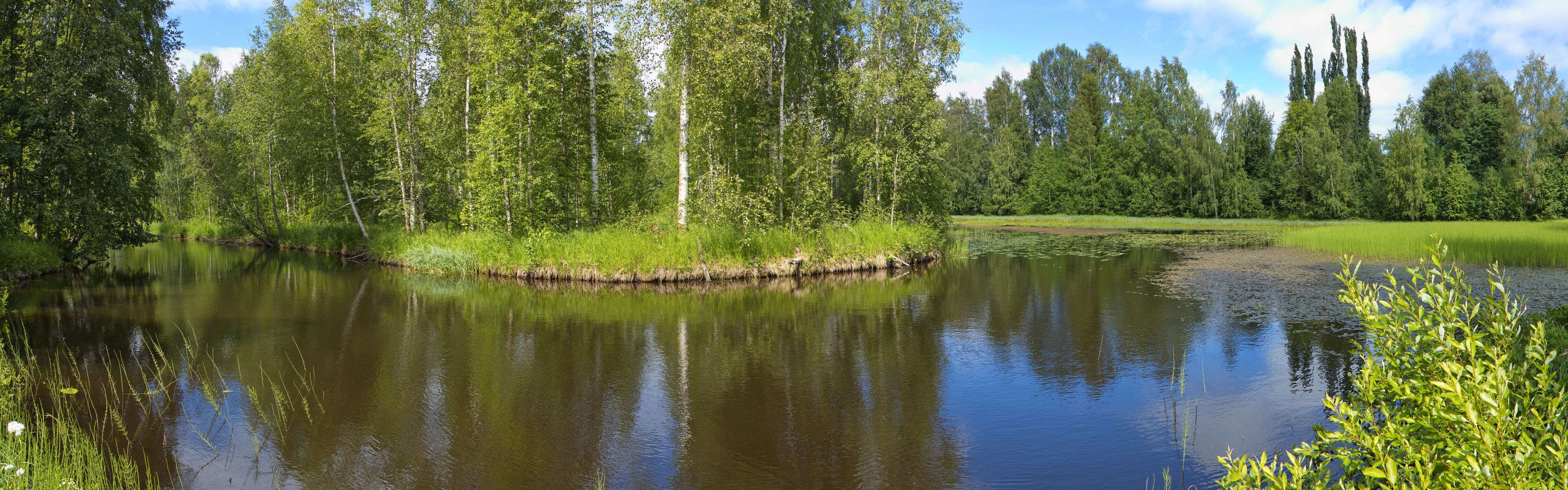 A calm river surrounded by dense green trees and a clear sky.