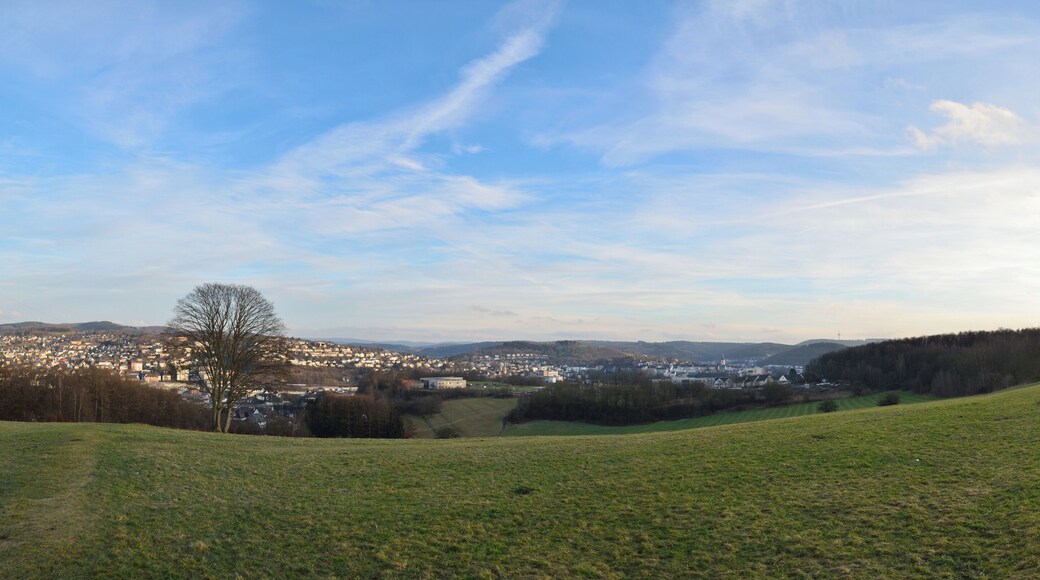 Sonntag in Winter. Siegen 2015