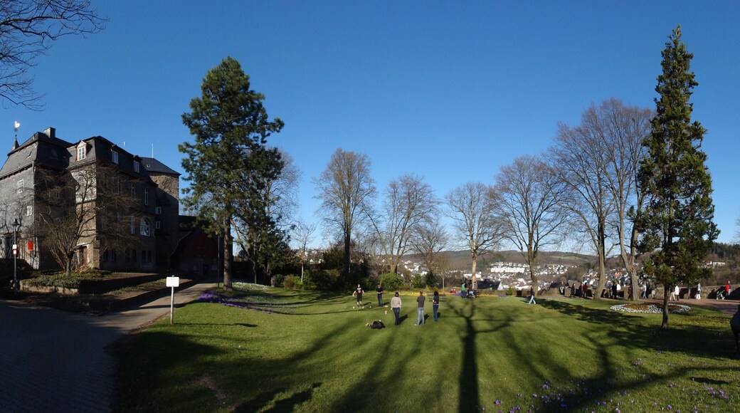 Siegen Schloss - 20.3.2011