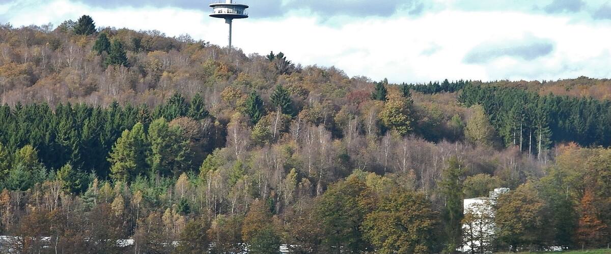 A tower on a hill with autumn-colored trees.