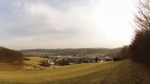 Irle-Wiesen Hügel - Panorama -12.3.2011