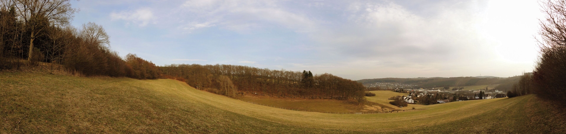 Irle-Wiesen HĂŒgel - Panorama -12.3.2011