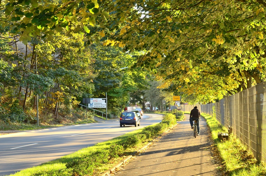A tree-lined road with a cyclist and cars.