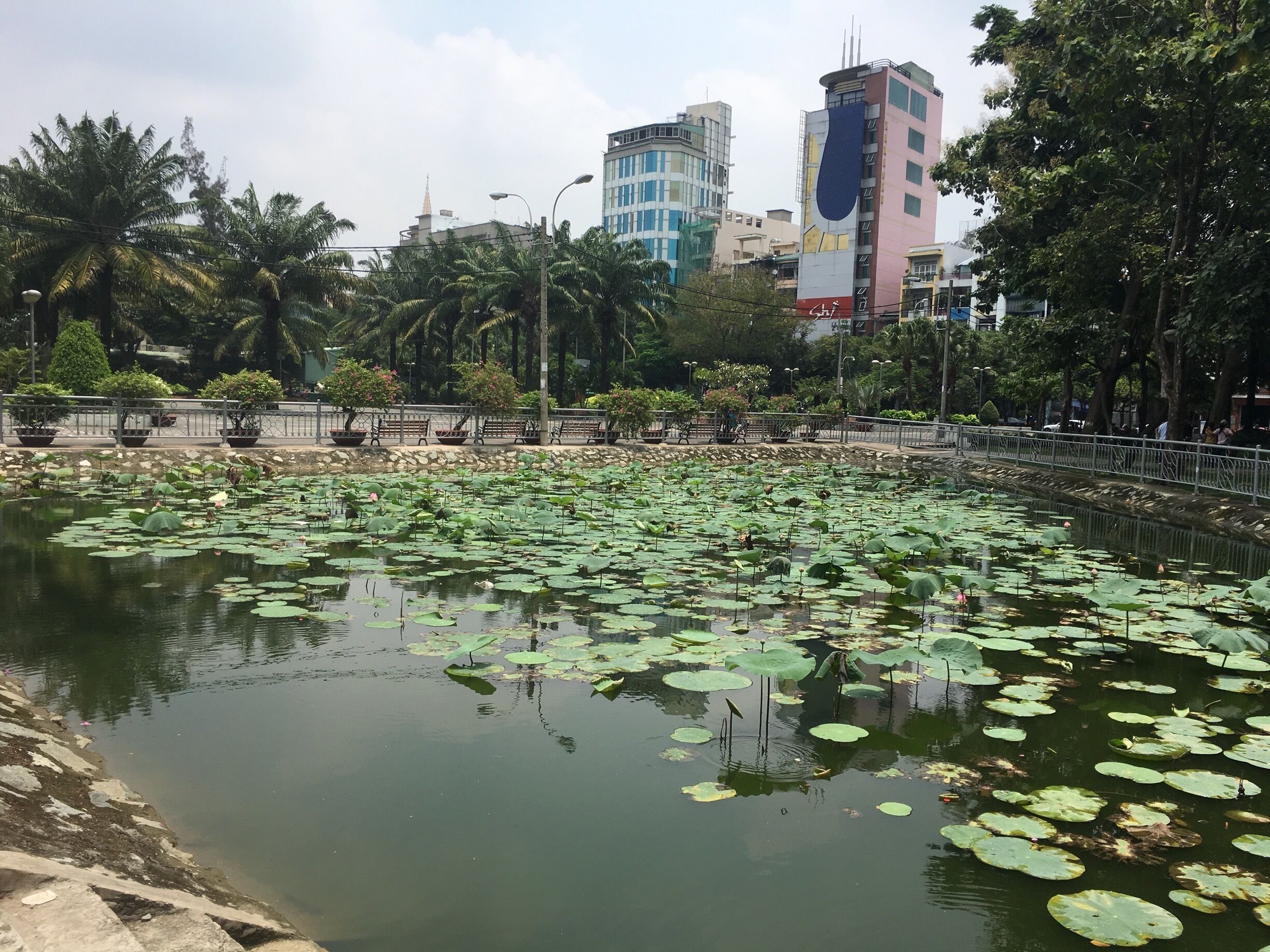 One of the city parks in Saigon. Surprisingly, Ho Chi Minh City has a lot of green space for such a busy city 