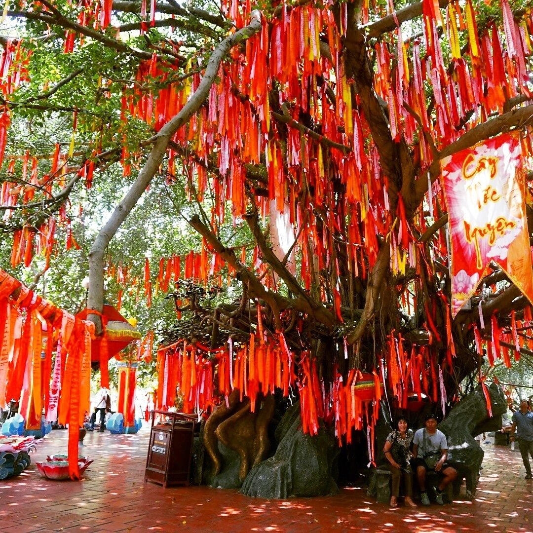 A tree with red ribbons hanging from its branches.