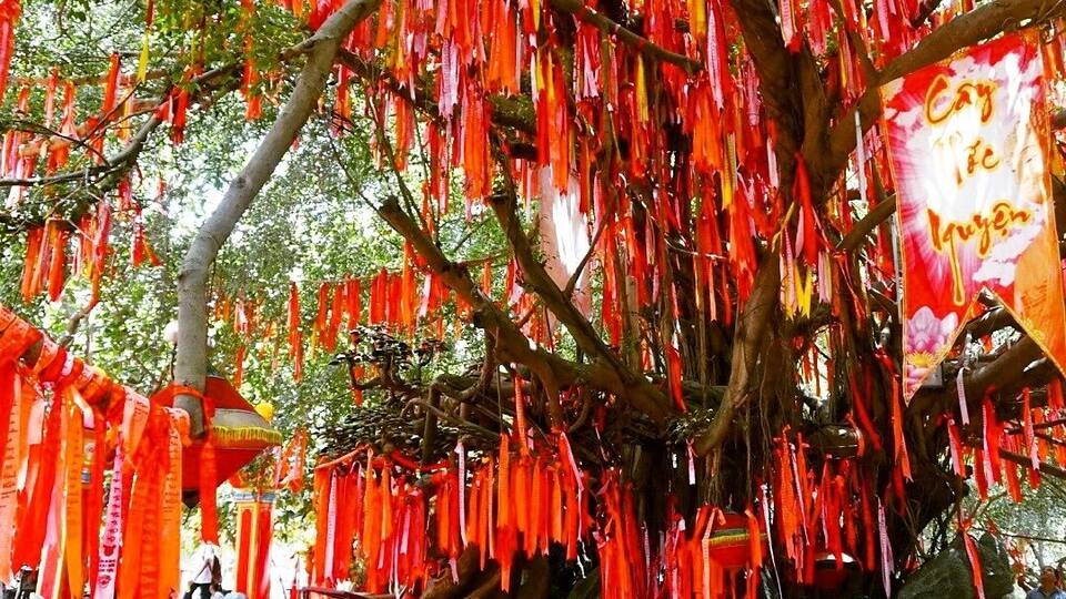 A tree with red ribbons hanging from its branches.