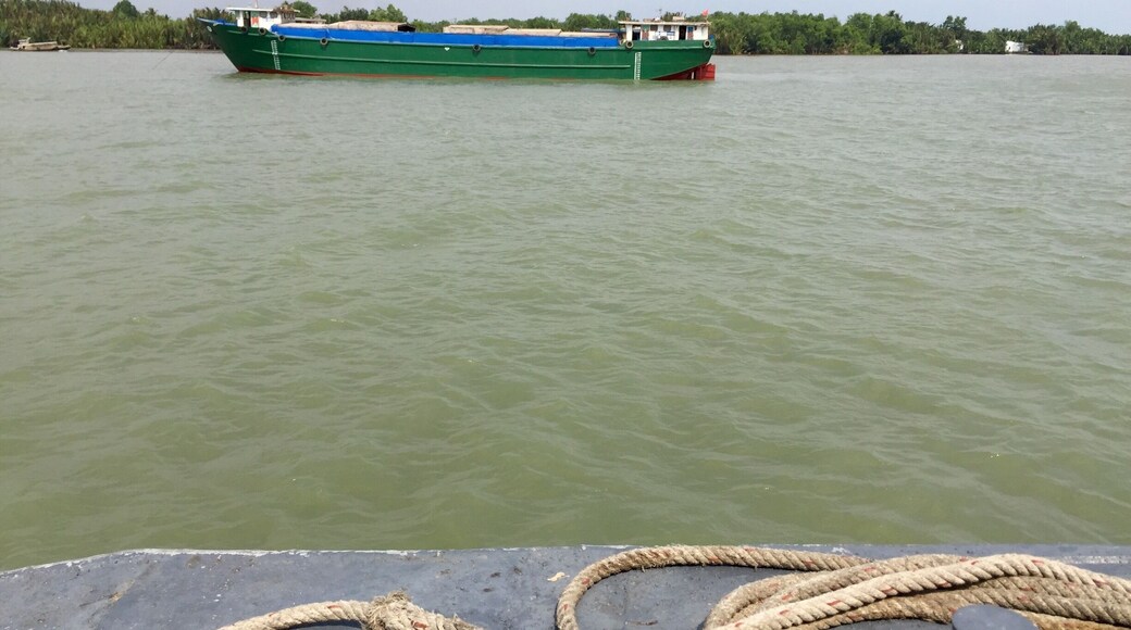 Riding the Petro Express on the Sông Lòng Tàu, Cần Giờ, Hồ Chí Minh, Vietnam. The banks are thick with foliage. Amazing to see this watery interstate of boats.