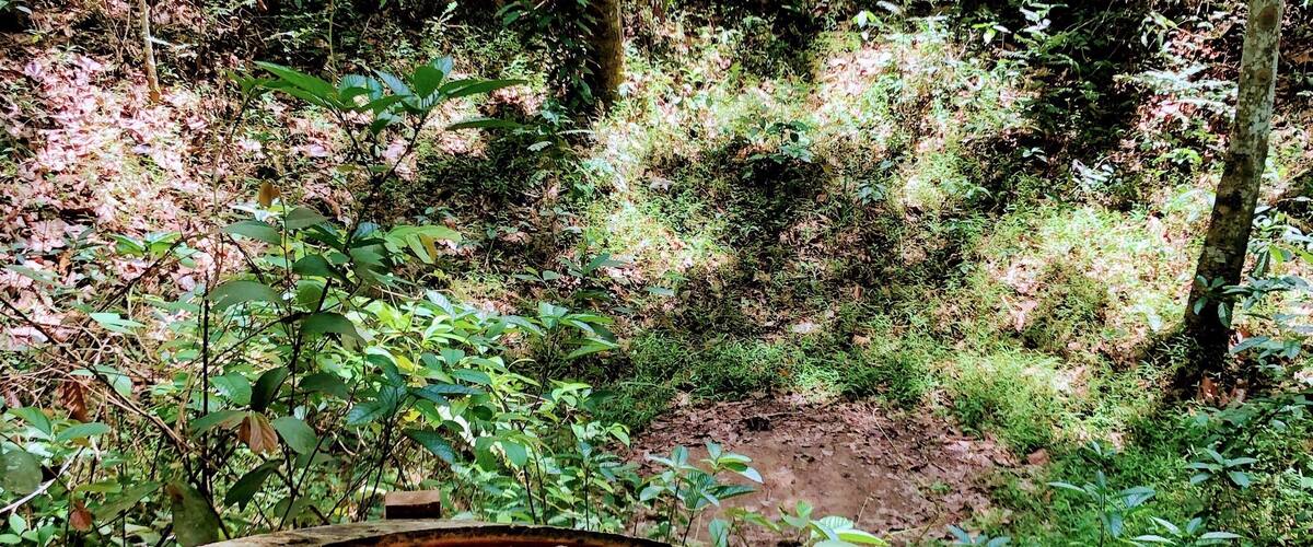 A visit to the Cu Chi Tunnels is highly recommended. We had a private tour with an awesome van and guide with Sam at Vietnam Adventure Tours.