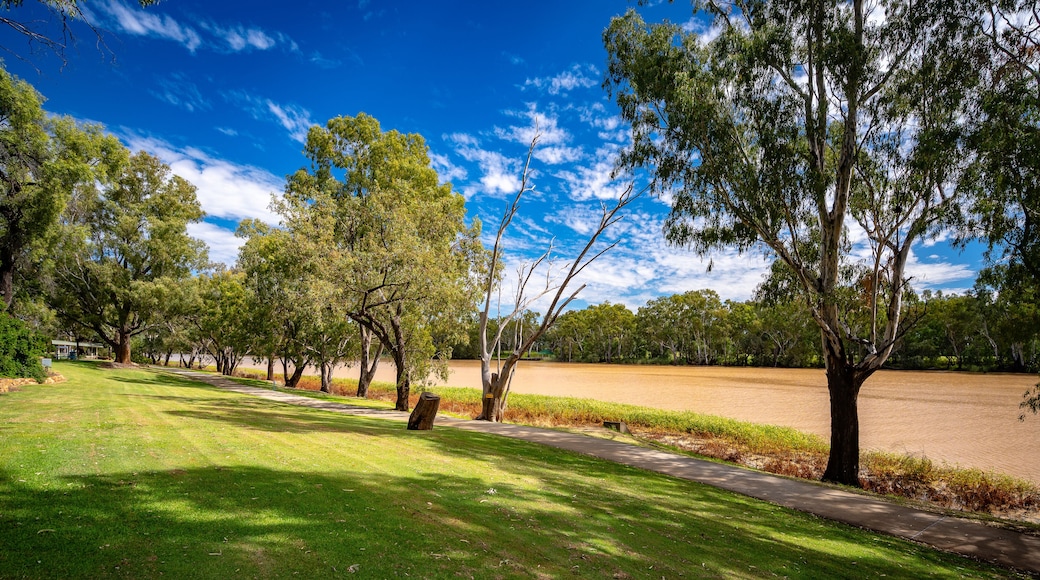 St George, QLD, Australia - Park and walking path along the Balonne River