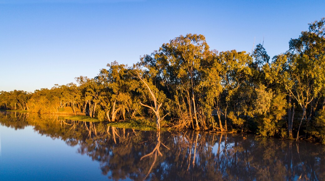 Australia, Queensland, St George, Clear sky above standing water and forest