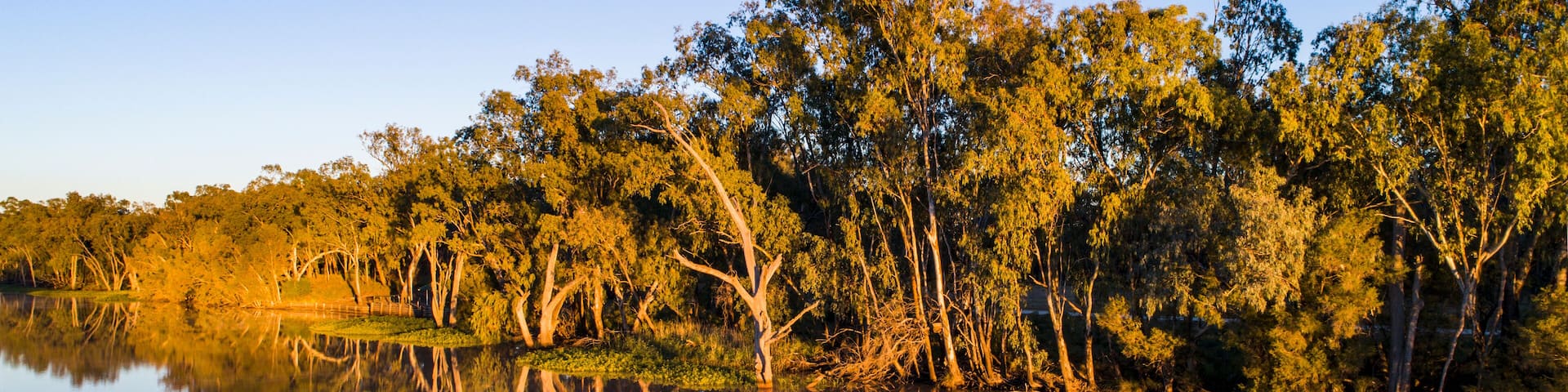 Australia, Queensland, St George, Clear sky above standing water and forest