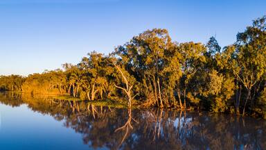 Australia, Queensland, St George, Clear sky above standing water and forest