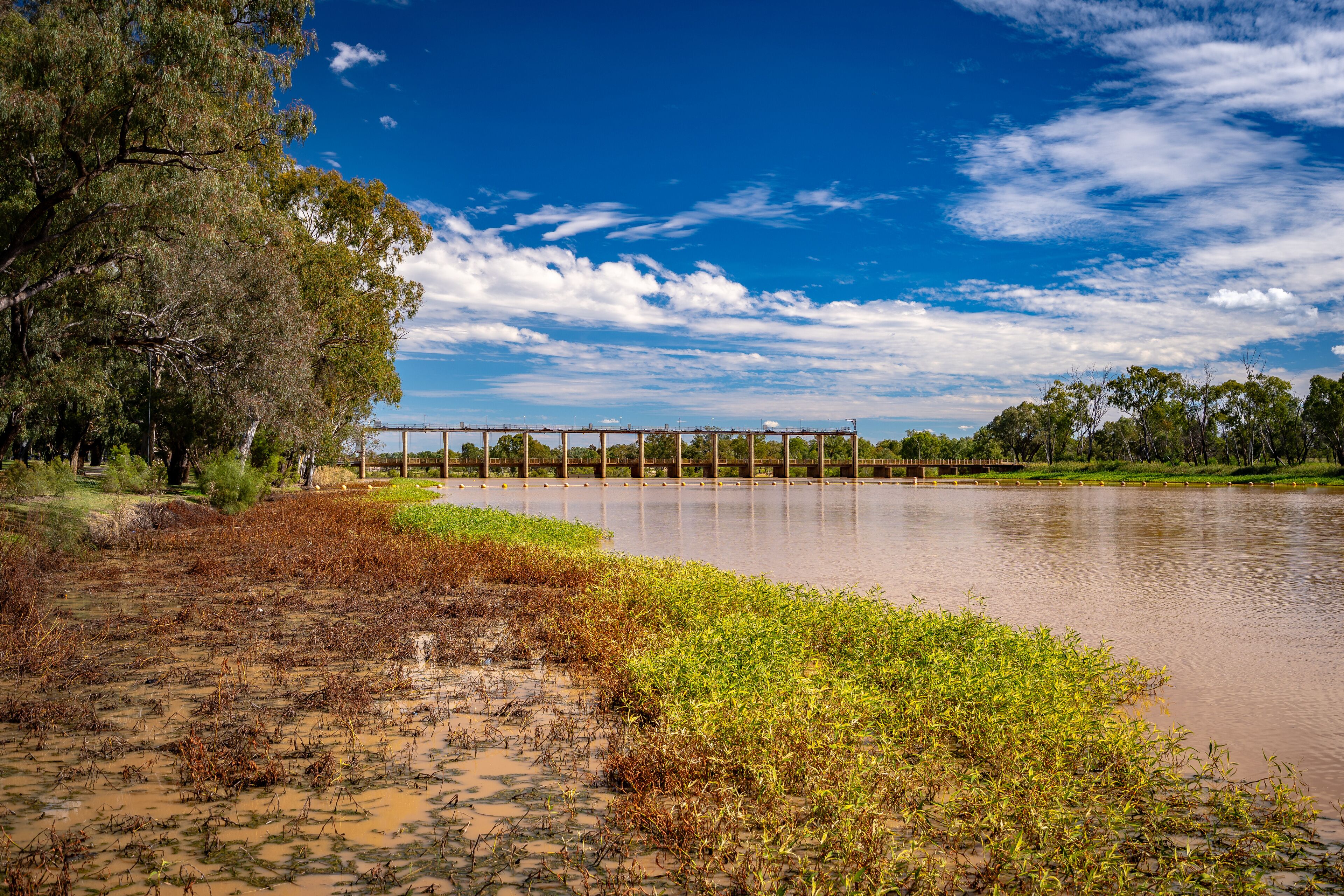 St George, QLD, Australia - Jack Taylor Weir on Ballone river