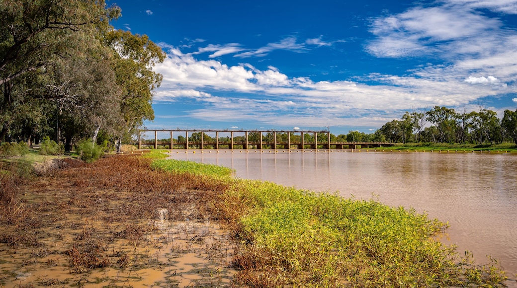 St George, QLD, Australia - Jack Taylor Weir on Ballone river