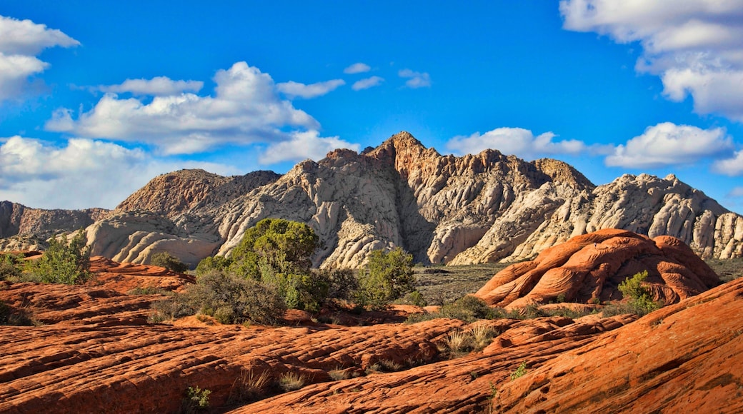 St. George showing mountains, desert views and landscape views