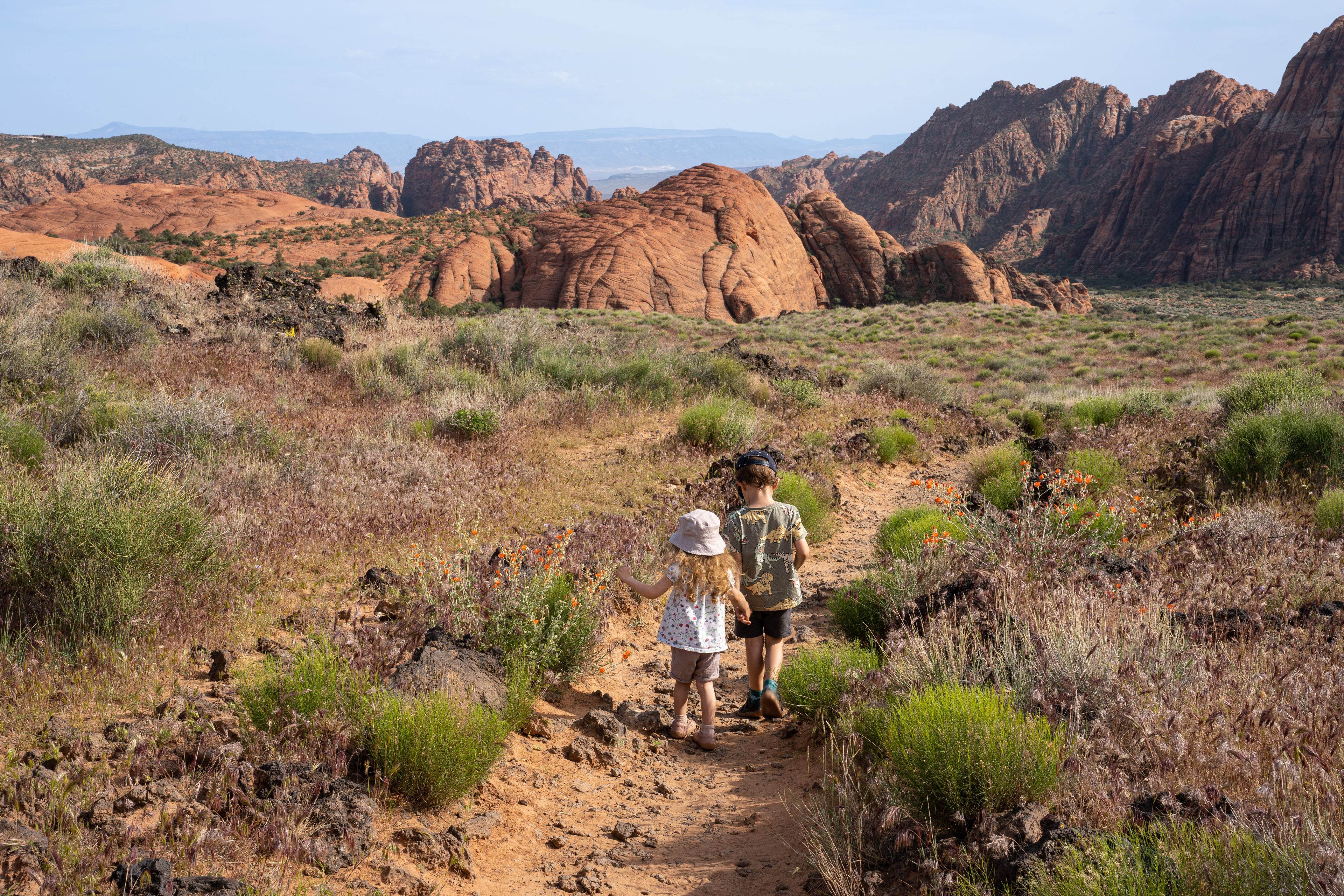 A rocky desert landscape with a dirt path, green shrubs, and red rock formations.