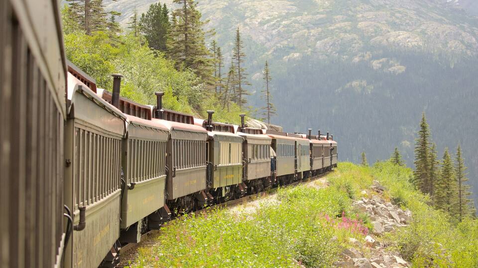A train moving through a mountainous area with dense forests and rocky terrain.