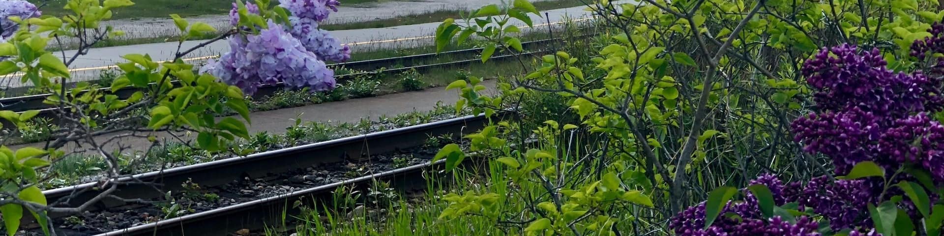 Beautiful day in Skagway