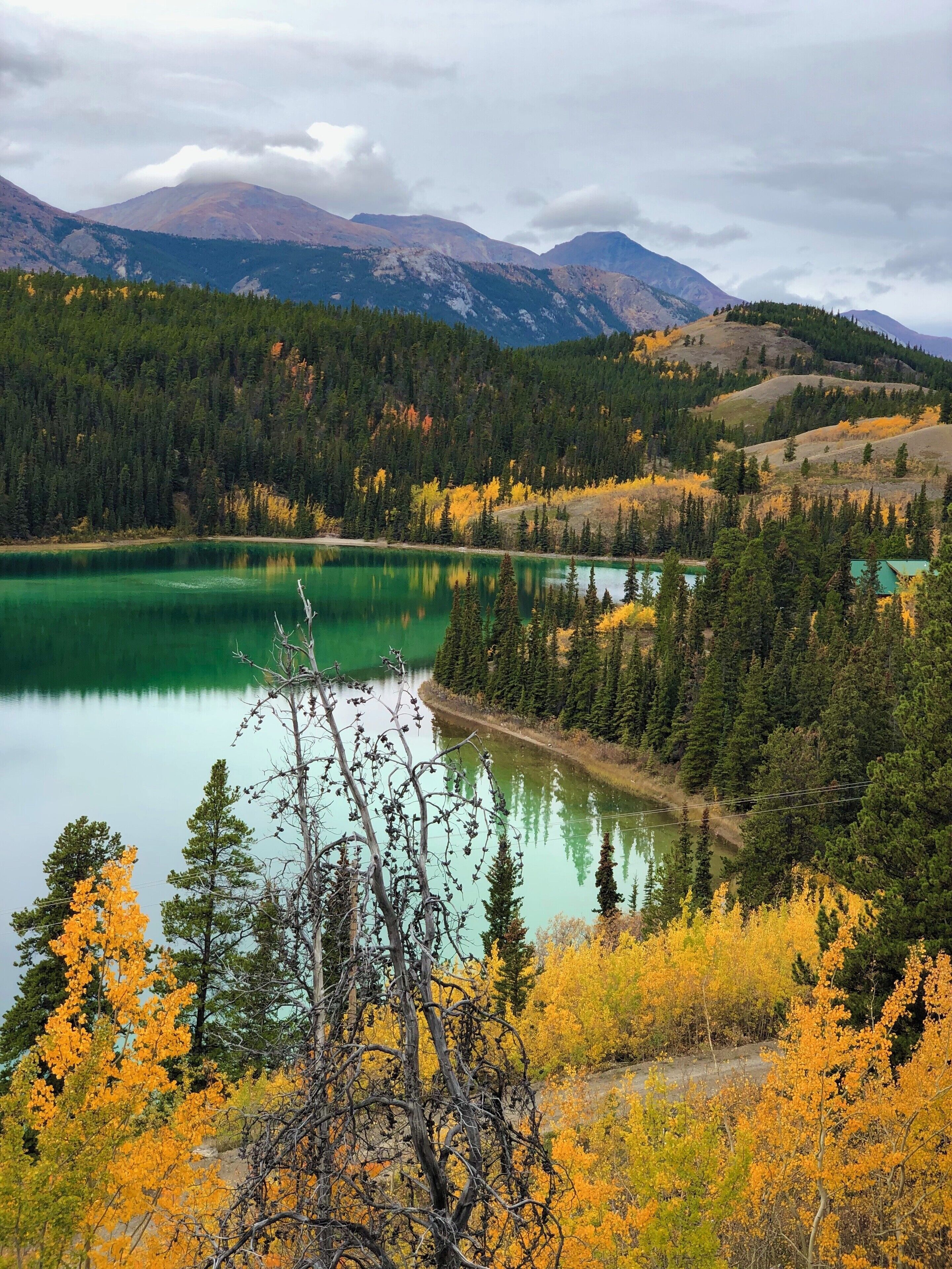 We took a day tour to view the Yukon trails in Alaska. It was breathtaking.
