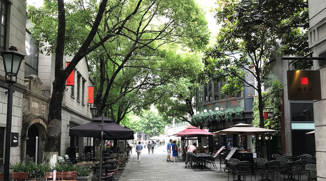 A residential area of Shanghai once designated for the French, the French Concession is now very popular with tourists and expats, and appreciated for its cafes, bars and tree-lined avenues, and tudor houses.