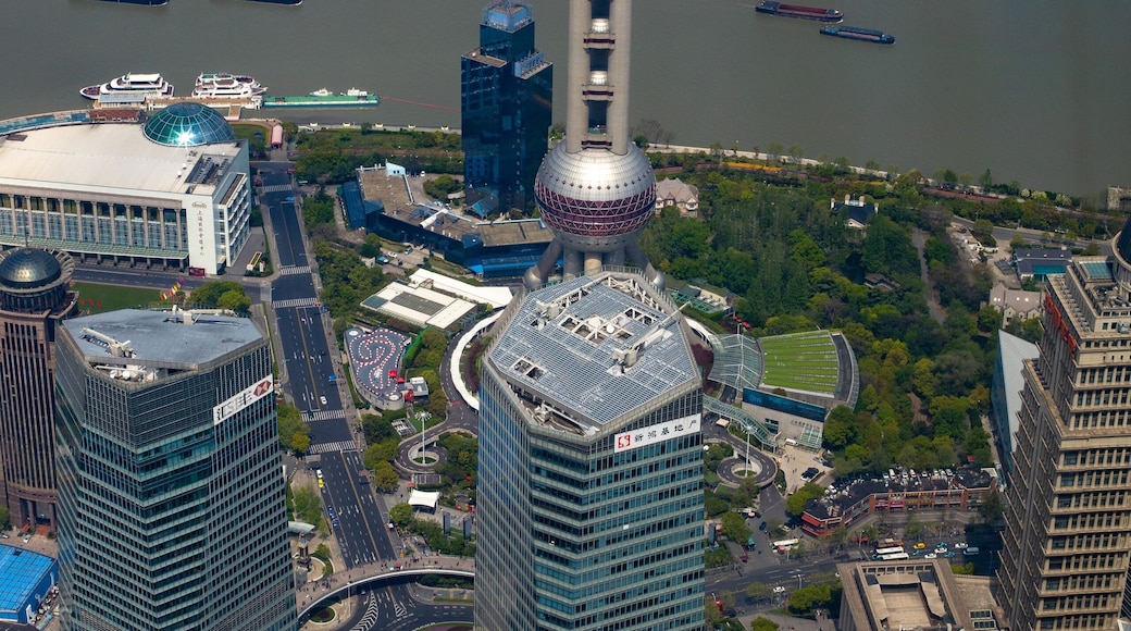 Looking down at the Oriental Pearl Tower
