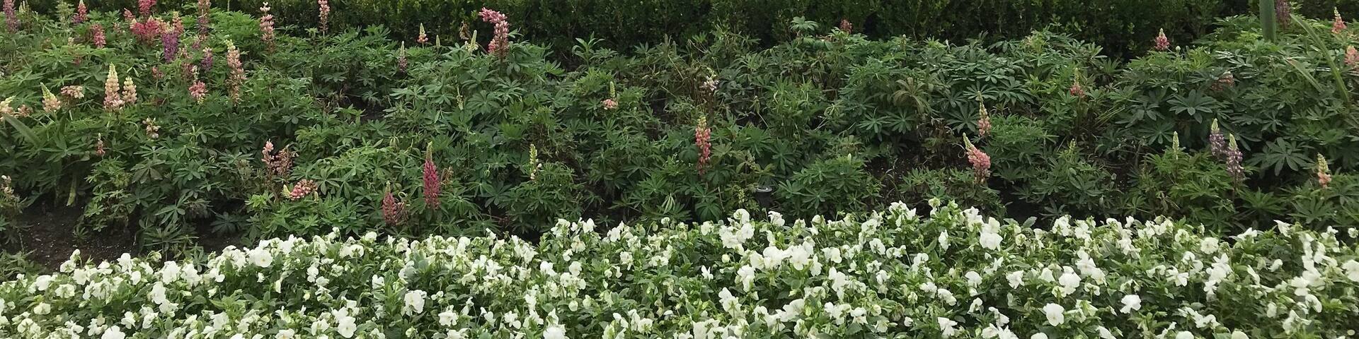 Miner's beach and Miner's Castle on Lake Superior. Using the Roam Inn in Munising, MI as your home base, kayak to Grand Island, hike through the Pictured Rocks National Lakeshore, and eat at Johnny Dogs. #upperpeninsula #lifeatexpedia