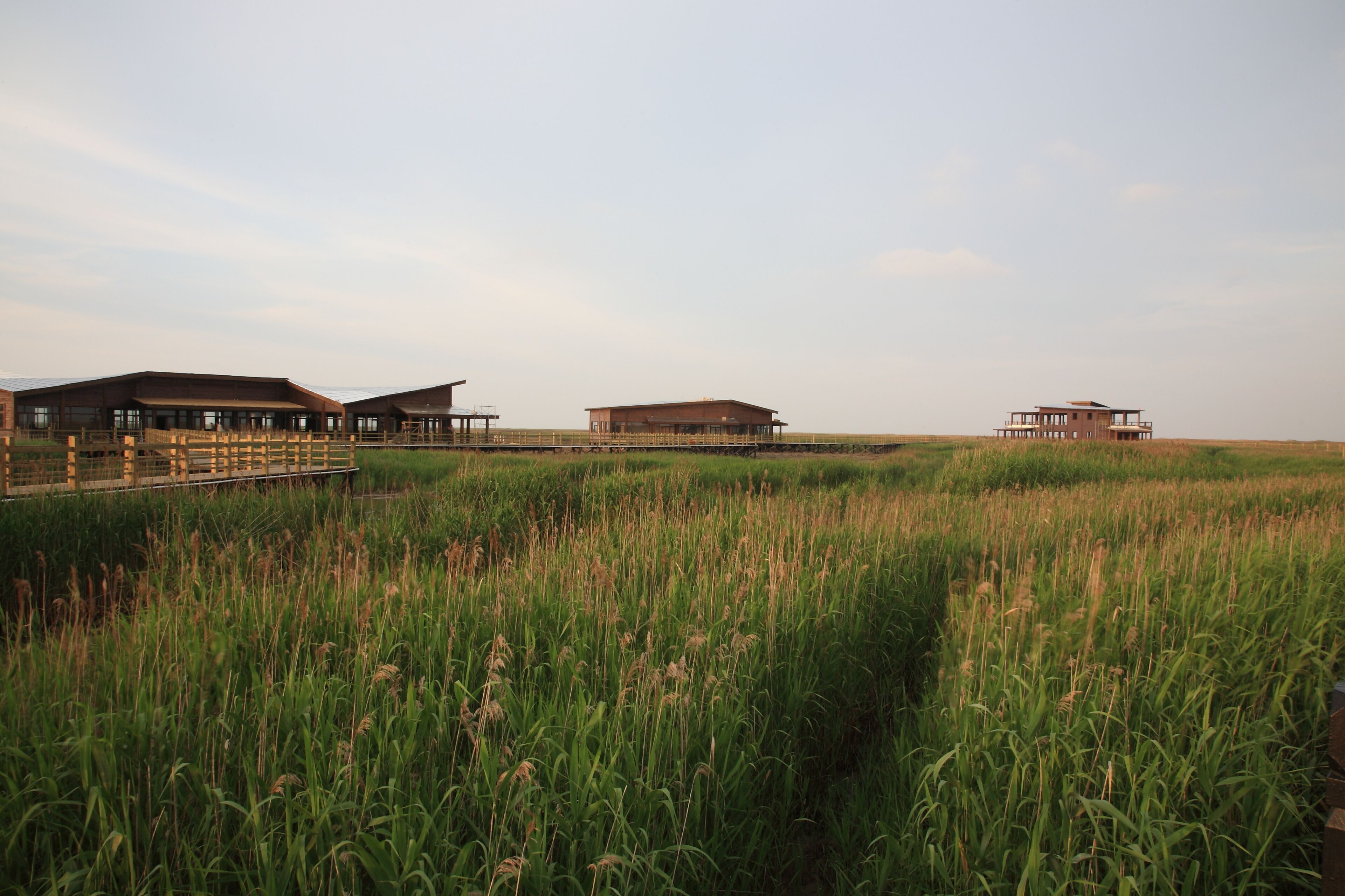 Paisaje rural con tres construcciones de madera y un puente de madera sobre un campo de hierba alta.