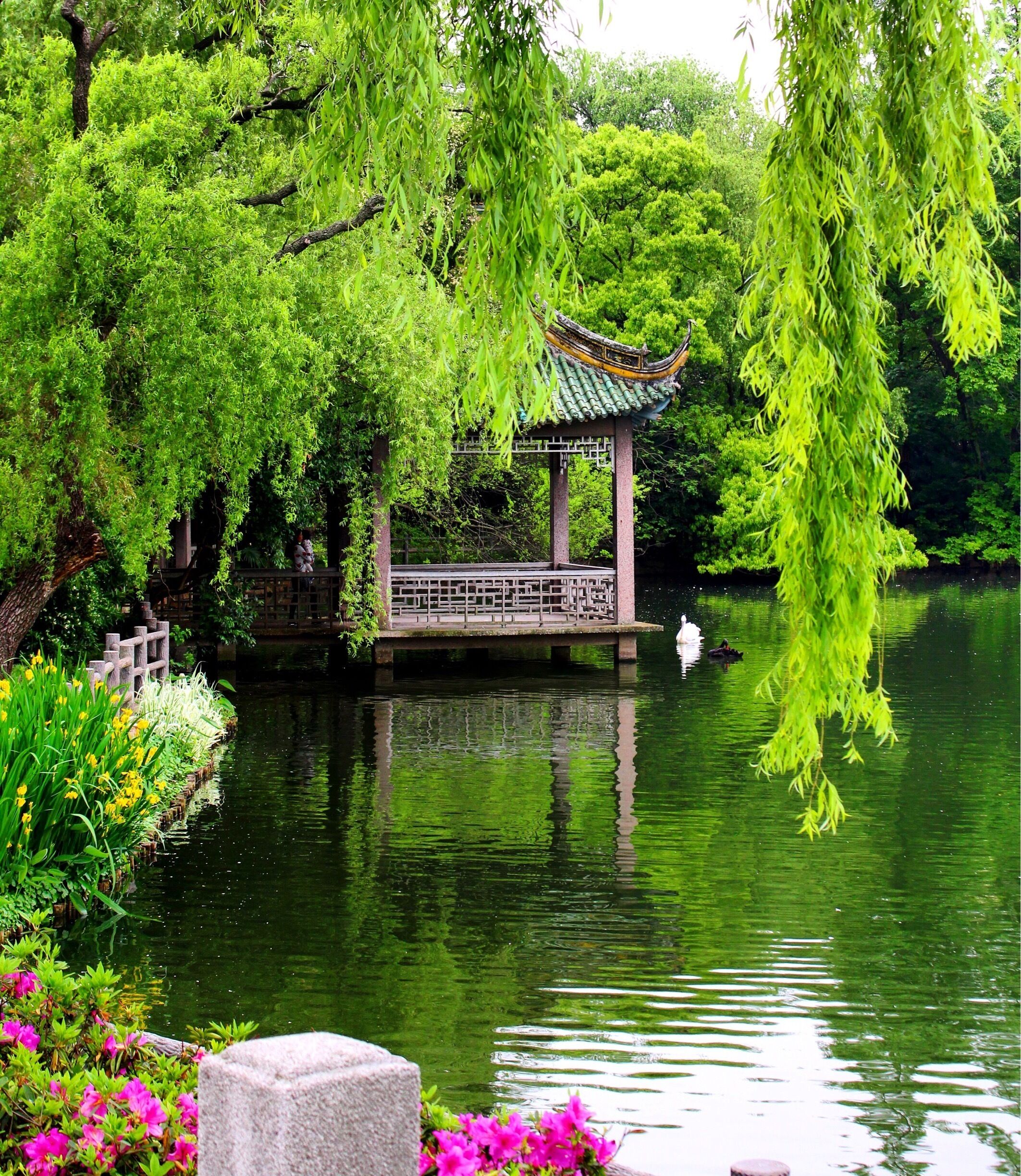 A little lake zen in the middle of the Shanghai Zoo!! 
