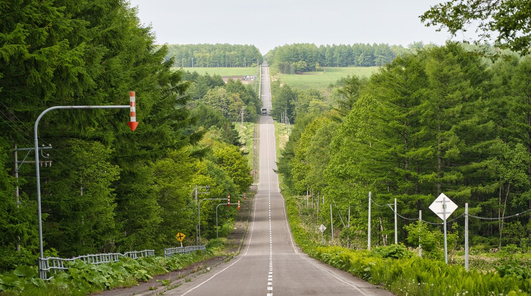 Hokkaido,Japan - June 3, 2024: Straight road called Milk Road in Nakashibetsu, Hokkaido, Japan