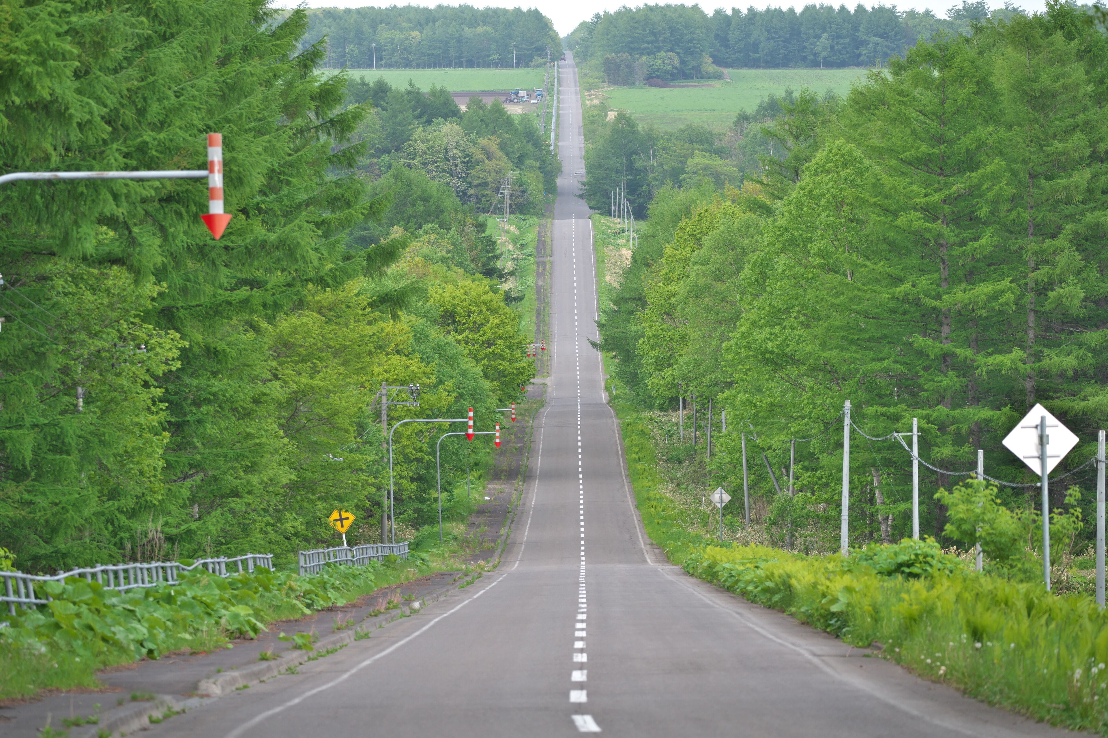Hokkaido,Japan - June 3, 2024: Straight road called Milk Road in Nakashibetsu, Hokkaido, Japan