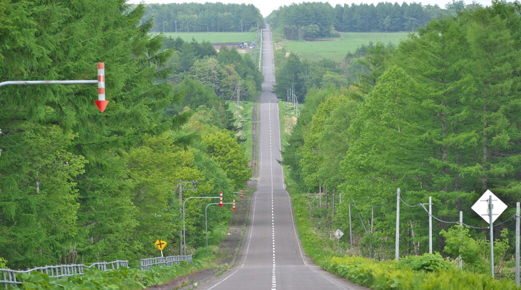 Hokkaido,Japan - June 3, 2024: Straight road called Milk Road in Nakashibetsu, Hokkaido, Japan