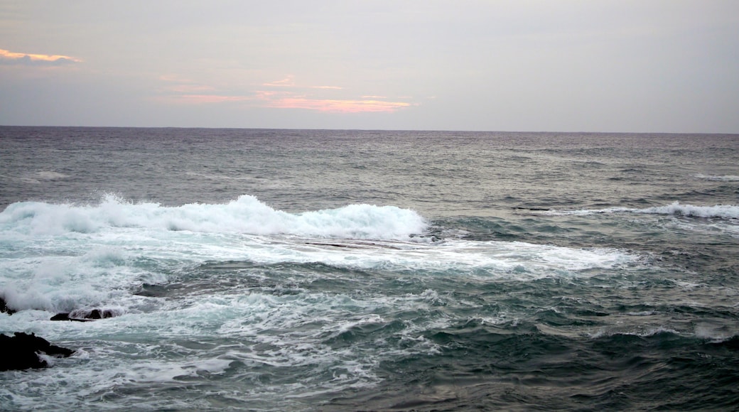 Tsubaki, Shirahama, Nishimuro District, Wakayama Prefecture 649-2326, Japan