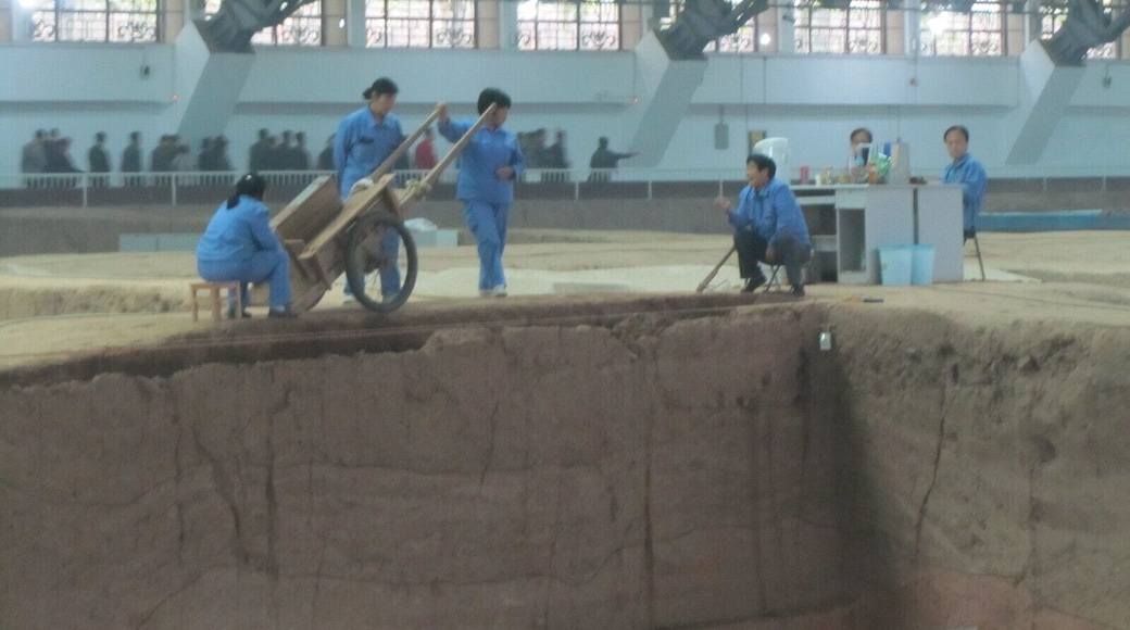 What are they doing today? Why is there a desk set up? The excavation of the terracotta warriors is a long and arduous project. To me, the scale of the restorations was the true jaw-dropping part of my trip out to the see the warriors. #antiquity #China