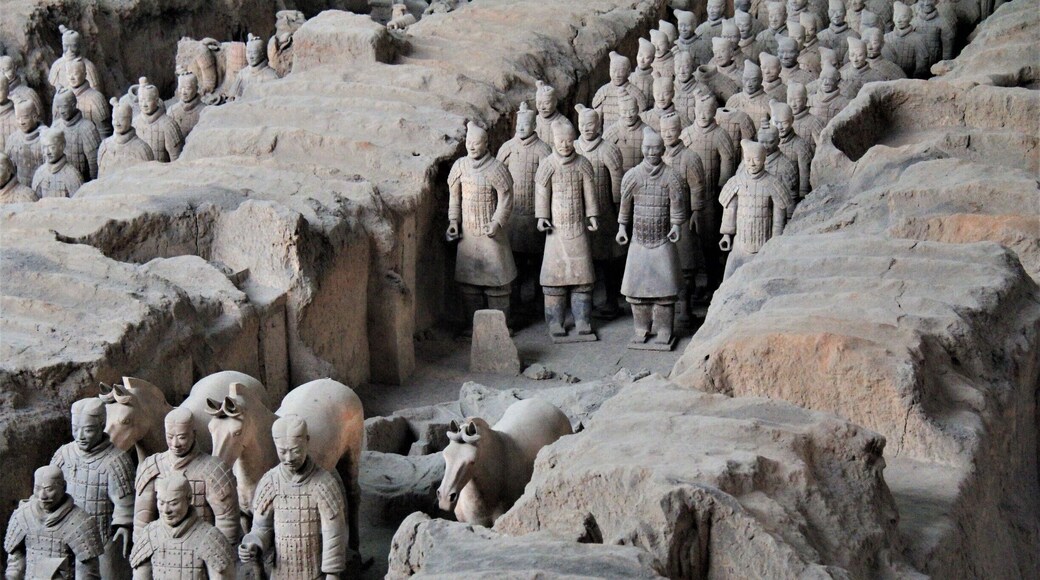 A few of the 8000 terracotta warriors #lifeatexpedia