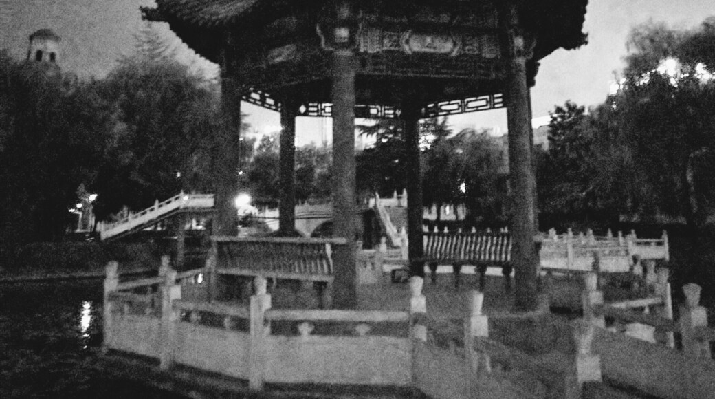 Xi'an University has beautiful gardens and small pagodas surrounded by water or grass/flowers. At night, the city lights shine bright to create a hall around this one. #pagodas #china #travel #xian #blackandwhite
