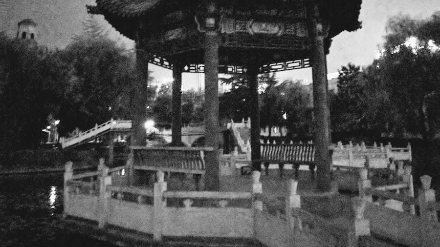 Xi'an University has beautiful gardens and small pagodas surrounded by water or grass/flowers. At night, the city lights shine bright to create a hall around this one. #pagodas #china #travel #xian #blackandwhite